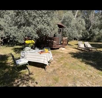 Roulotte / Tiny House Dans Les Alpilles Hotel Saint-Rémy-de-Provence Eksteriør billede